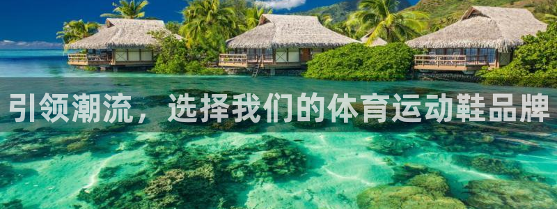 a8体育在线观看：引领潮流，选择我们的体育运动鞋品牌