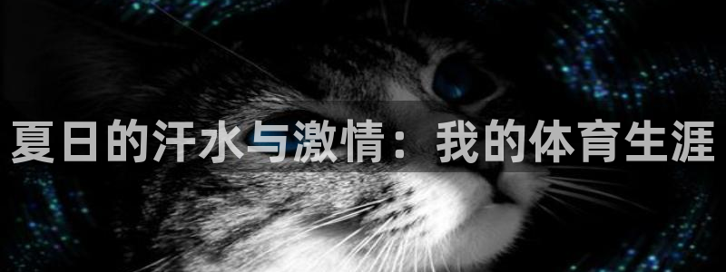 a8体育篮球：夏日的汗水与激情：我的体育生涯