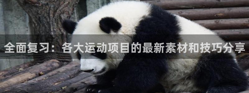A8体育官网app下载：全面复习：各大运动项目的最新素材和技巧分享
