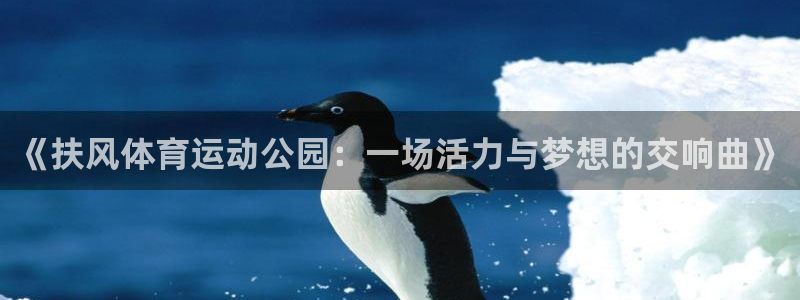 A8体育直播NBA直播入口：《扶风体育运动公园：一场活力与梦想的交响曲》